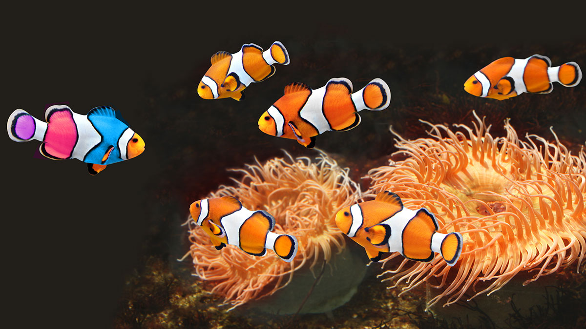 什麼都做，但什麼都不特別？找出「辨識度」才是品牌關鍵！