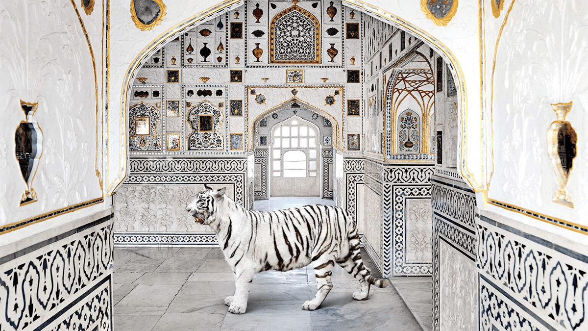 做對 5 點，打造絕佳個人化體驗