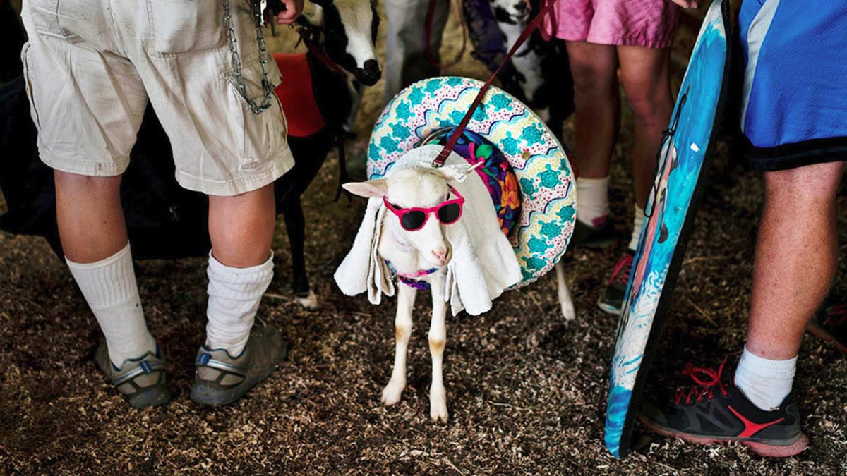 跟緊會鞭策你的職場貴人