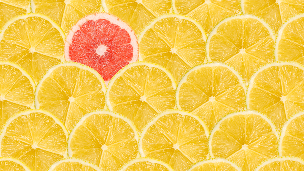 領導典範多來自民間