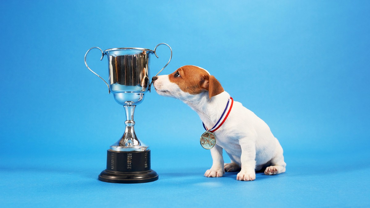 表揚跟賞識，員工為何全都要