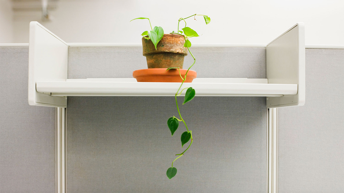 準備好重返辦公室了嗎？