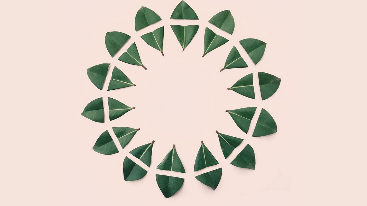 讓科學家與決策者理解彼此 用白話文說資料科學