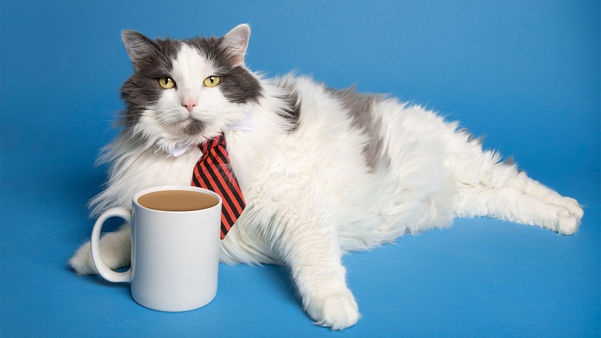 哪些人際連結真的能幫你找到工作？