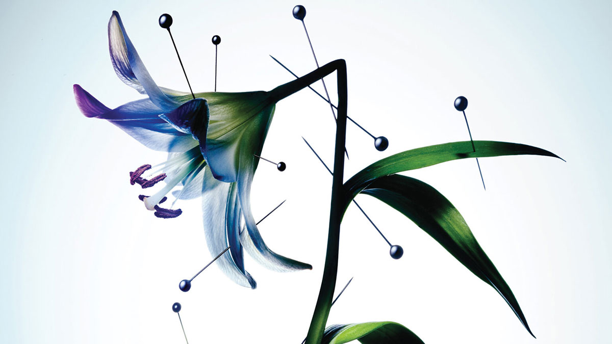 攝影／YASU & JUNKO