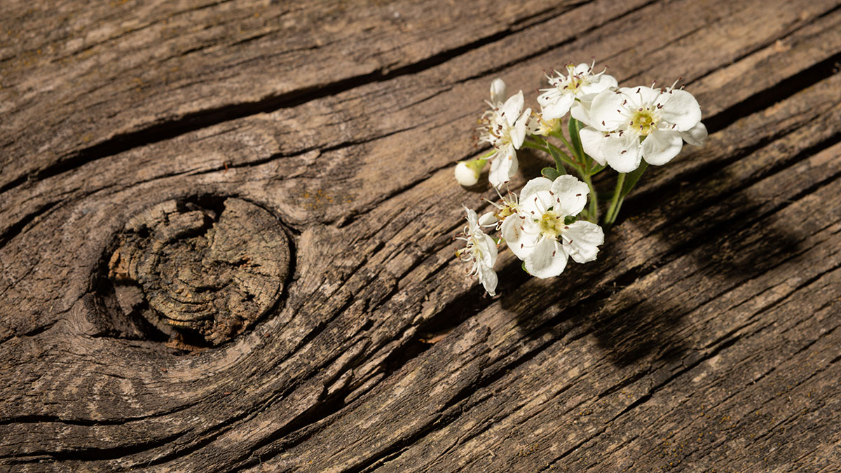 待在舒適圈就不會成長？不用受苦，也能成為想要的自己