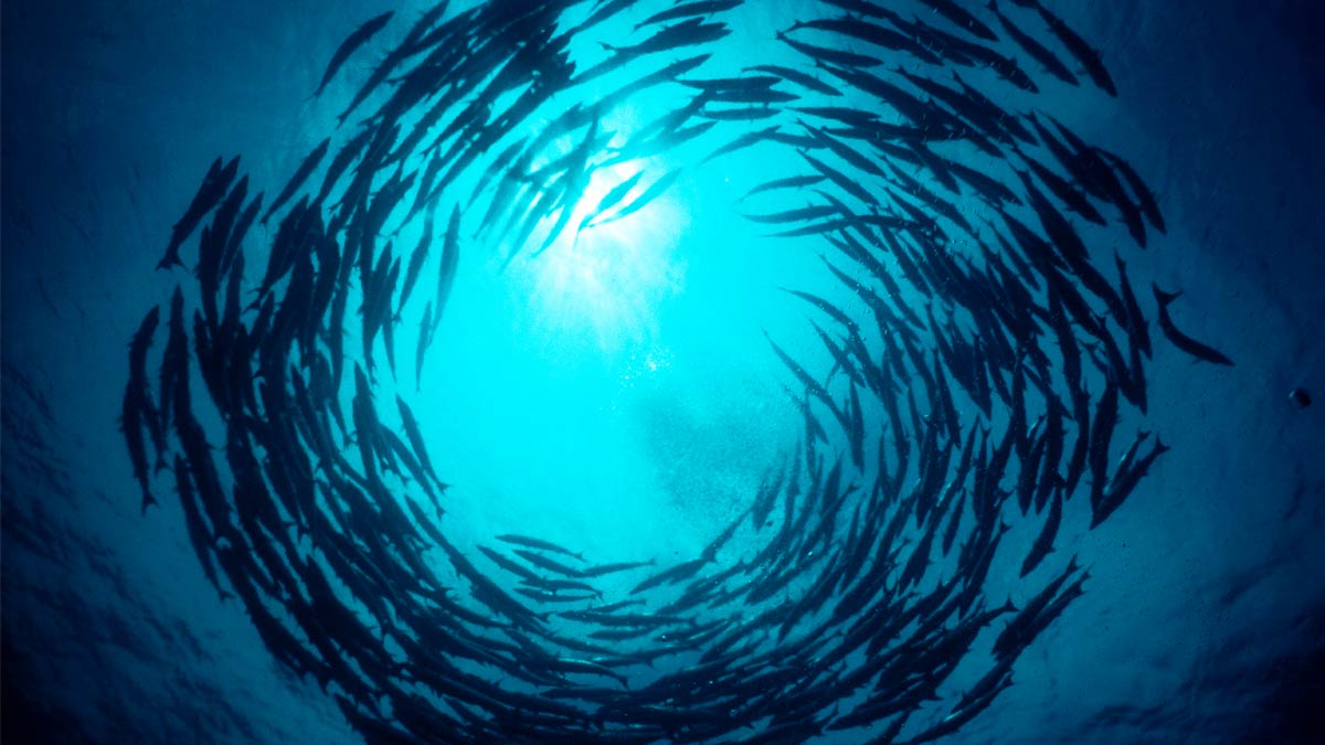 同桌開會彼此指導