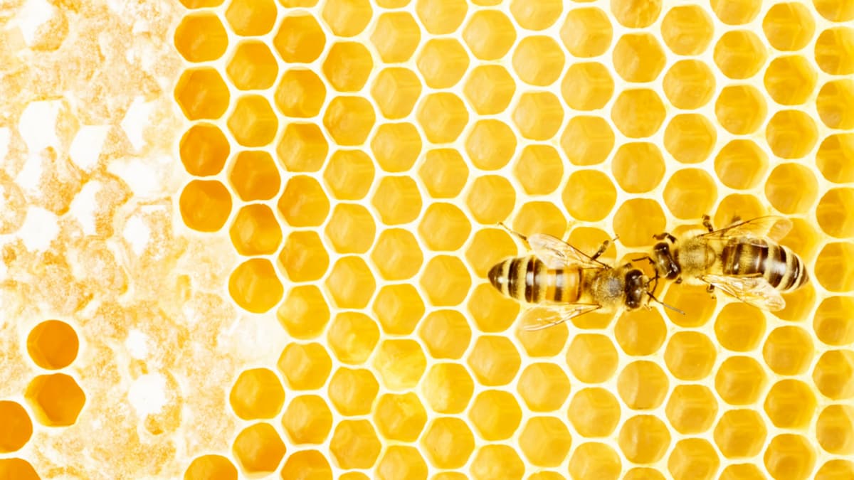 最不投入的員工可能績效最佳