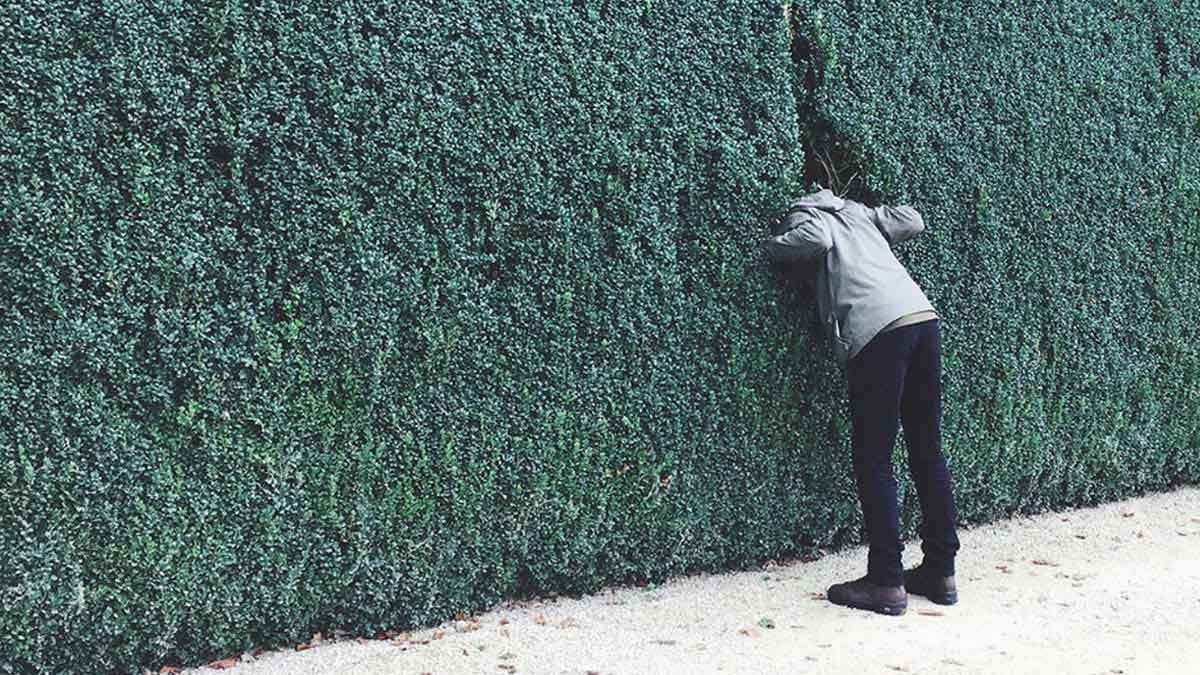 面對好奇心，主管員工不同調