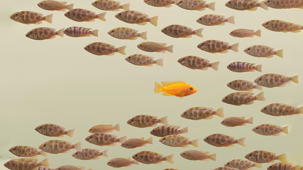 三步驟領導變革紀錄不佳的公司變革