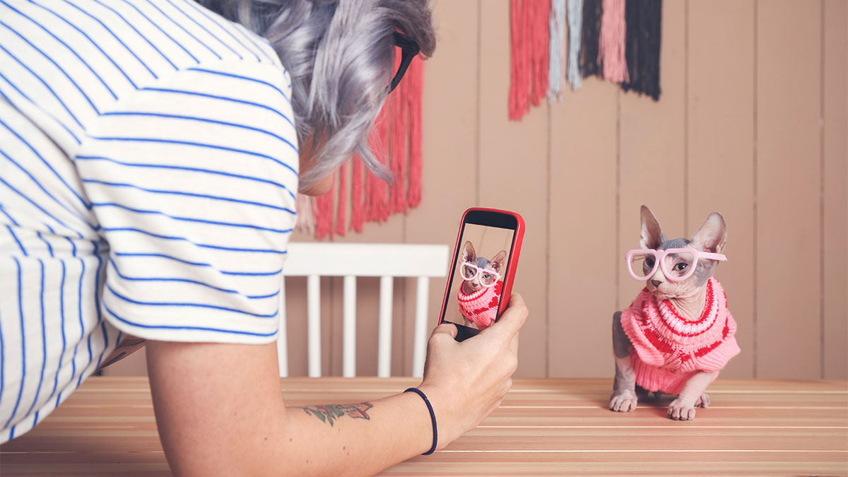 影音當道的市場中如何推動有機行銷？