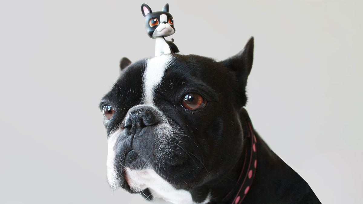 4 種策略，權力較大的同事也要尊敬你