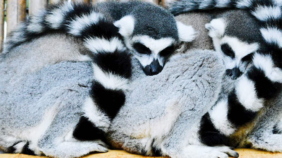 復原力不是一味忍耐