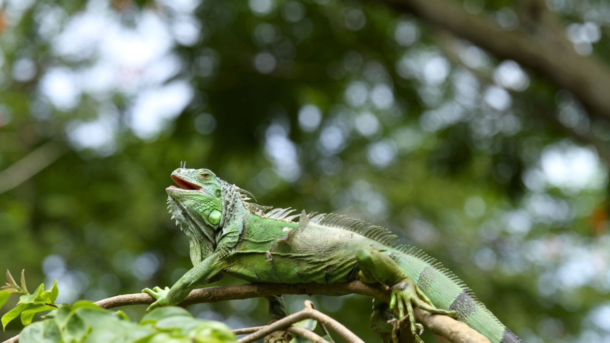 在激烈競爭的叢林中找到你的位置