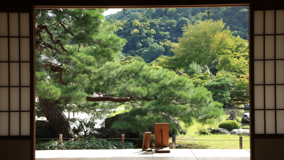 在指導與管理之間尋找平衡