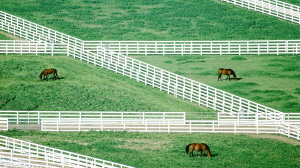 以顧客願意付的價格來區隔顧客