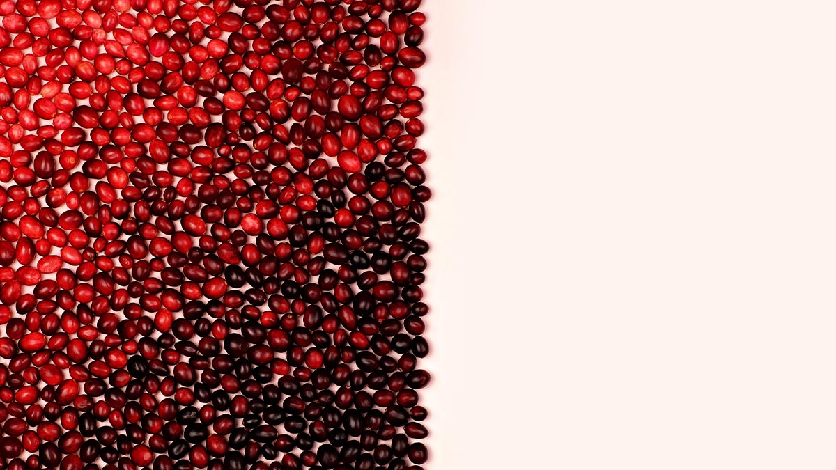 工作沒變化，會降低職業道德？