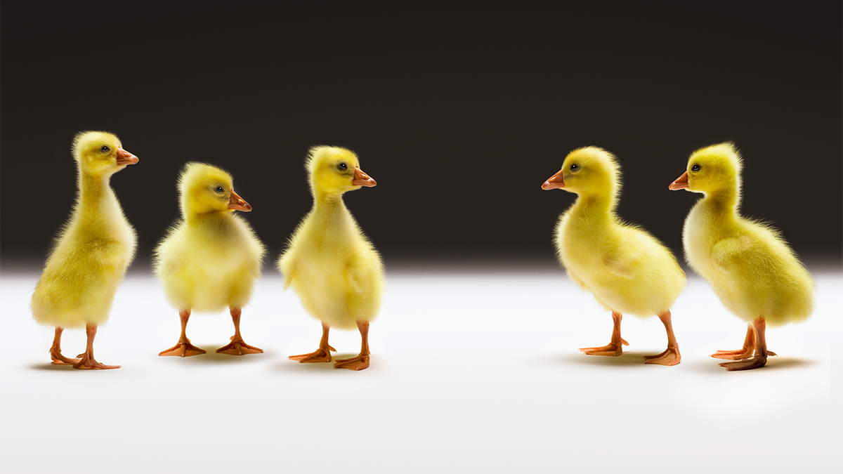 太信任家族，反傷到家族企業