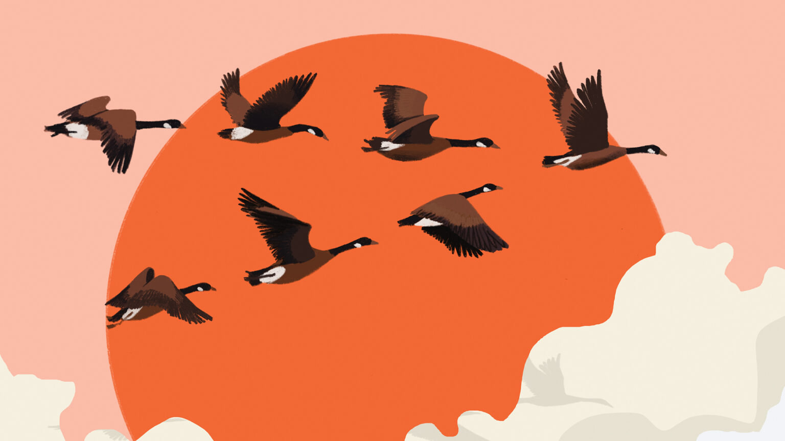 找董事當執行長，合適嗎？