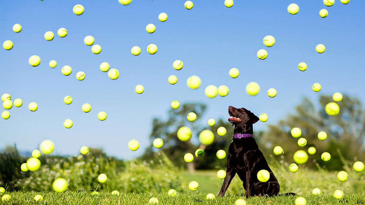 臉書如何抓住千禧世代員工的心