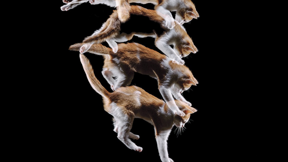 打造靈敏領導體制