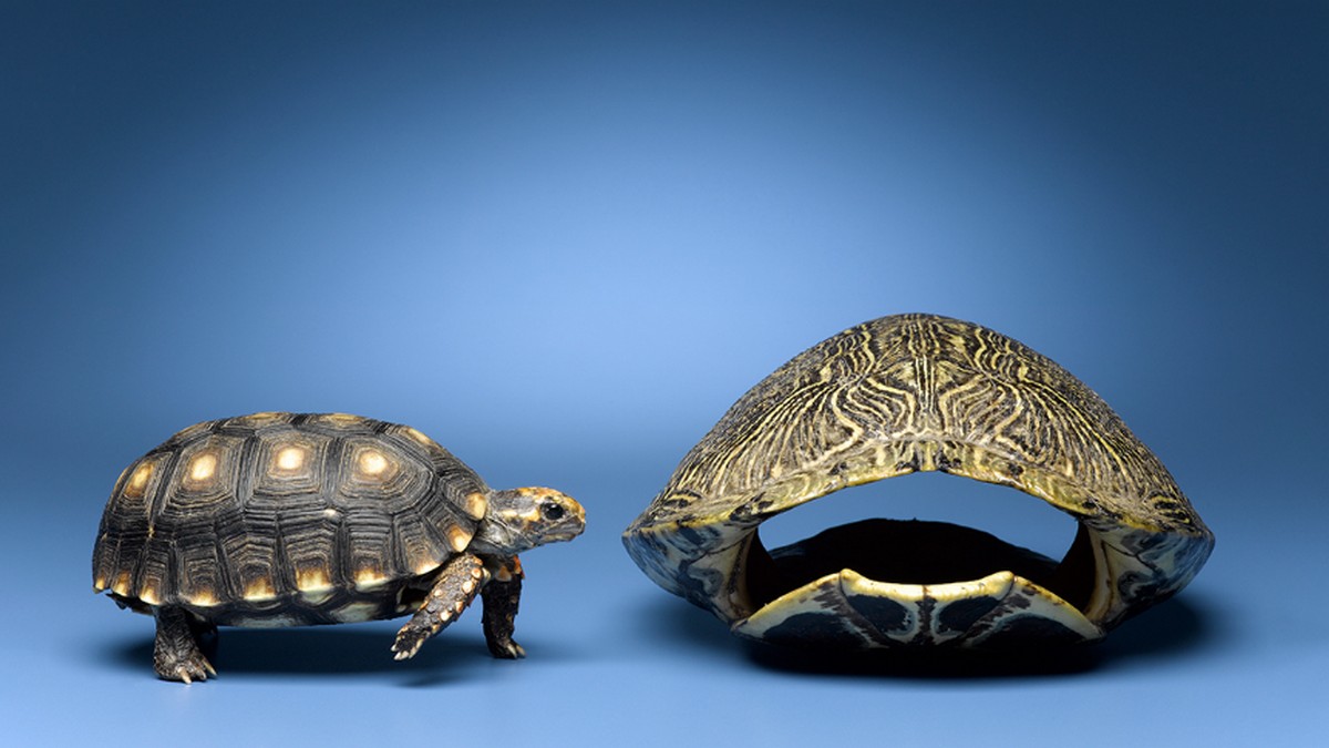 你真的知道員工為何離職嗎？