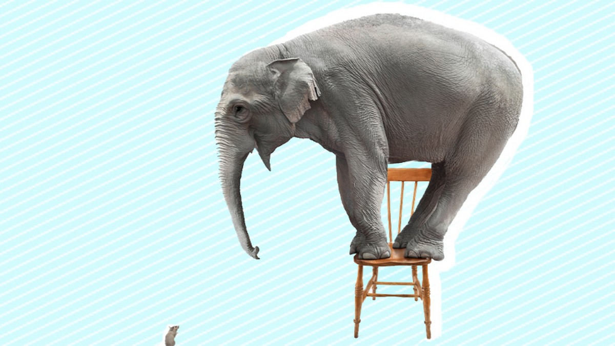 公司的強項其實是弱點？