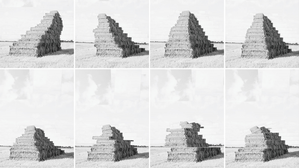 你公司真正支持的價值觀是什麼？