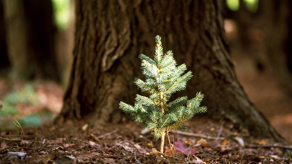 釐清四大問題，讓「再生」成為永續新目標