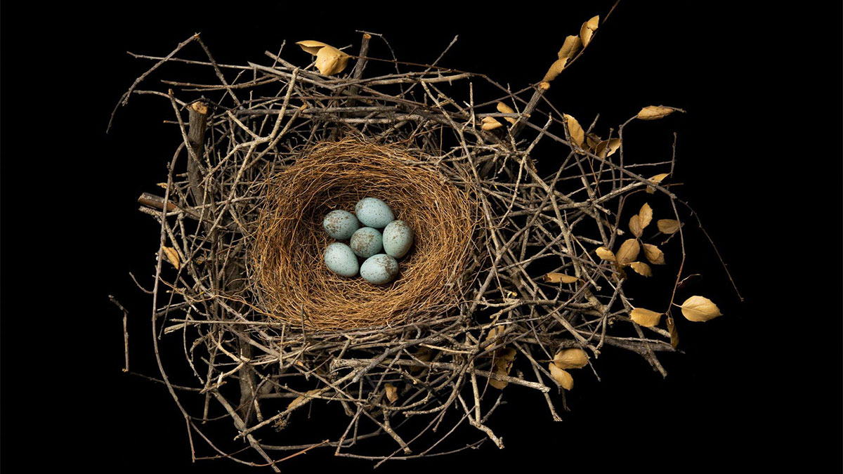 給員工安全的職場，才能收穫績效