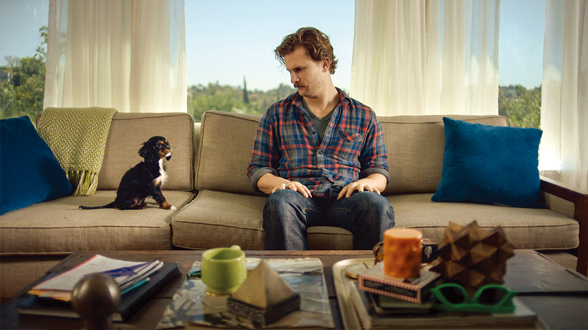 網路爆紅影片大揭密