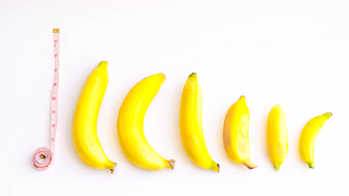 創新與企業規模無關，與營運規則息息相關