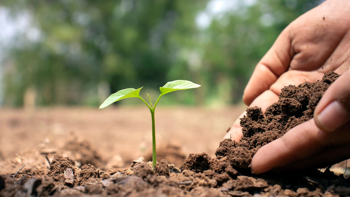 怎麼給比給多少重要