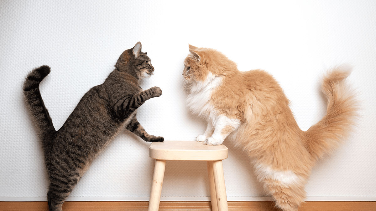 資深前輩「很難搞」？年輕主管可以兩大準則化阻力為助力