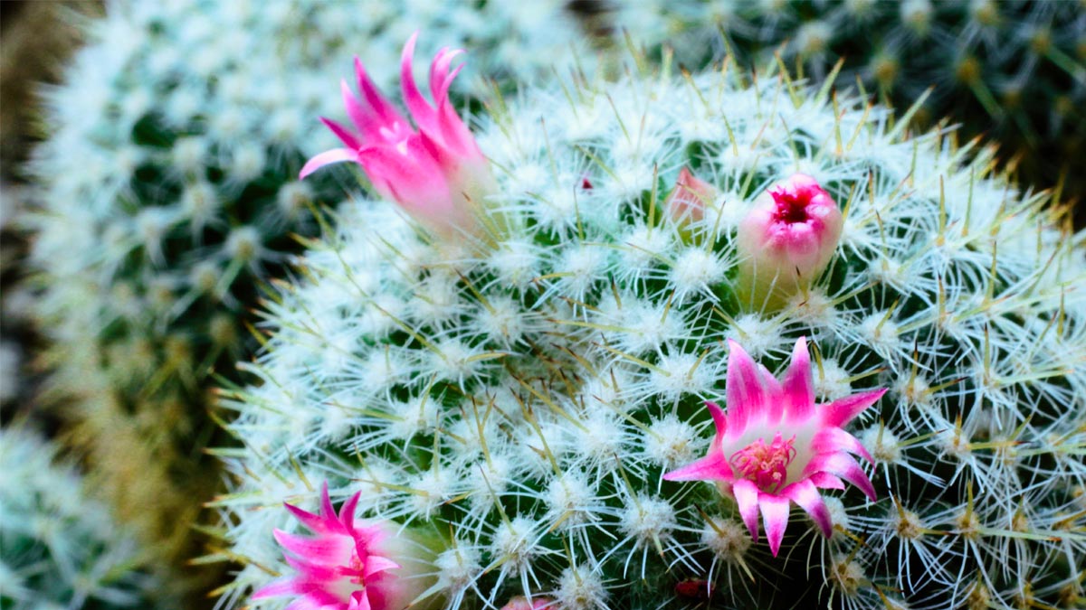 頂尖與墊底業務員差異何在？