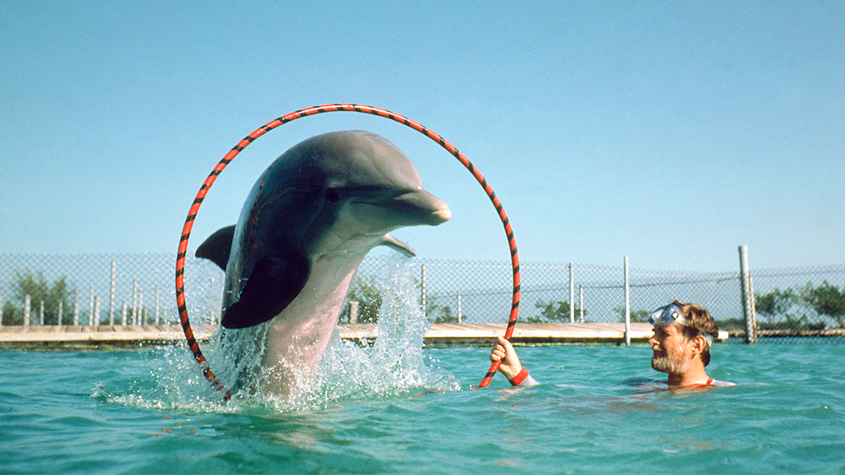 企業學習計畫要考量的不只是技能