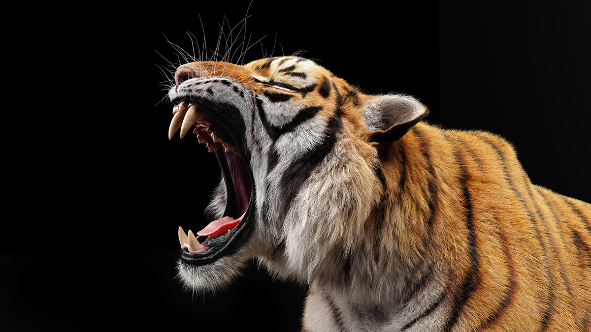 想增進職場跨世代和諧，主管請避免「直覺性回應」！