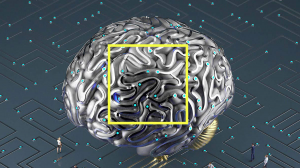 掌握人工智慧應用的兩大「錢途」