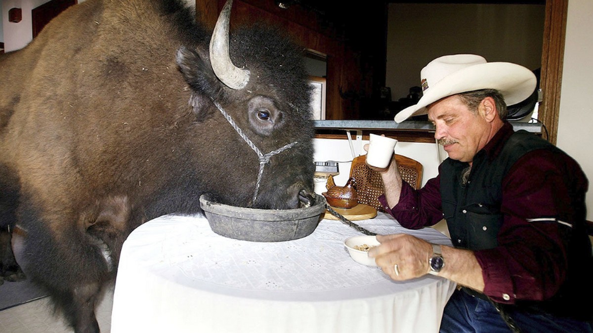 三個方法，讓你在家工作不孤獨