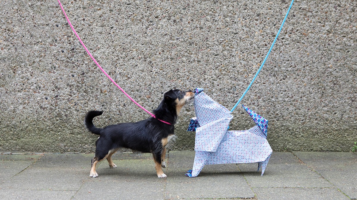 這種真實，顧客埋單