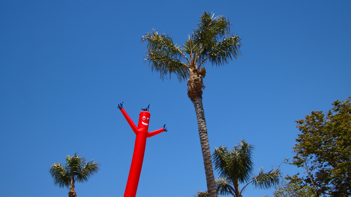 成功領導人的 8 項特質：真實、好奇心、同理心……你具備了嗎？