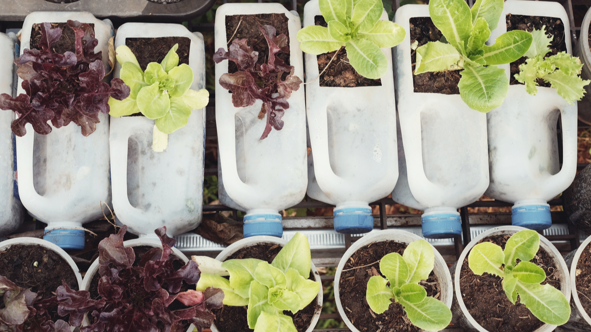 再生利潤：綠色產業的前哨