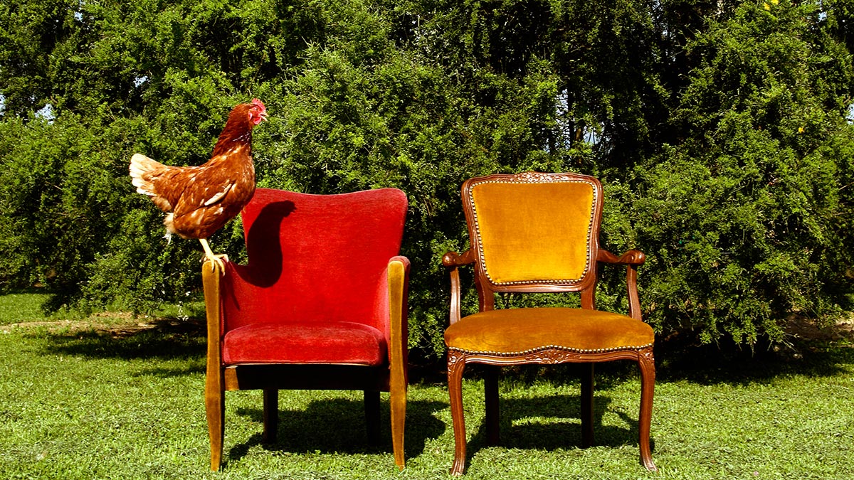 兩種重要的創業類型