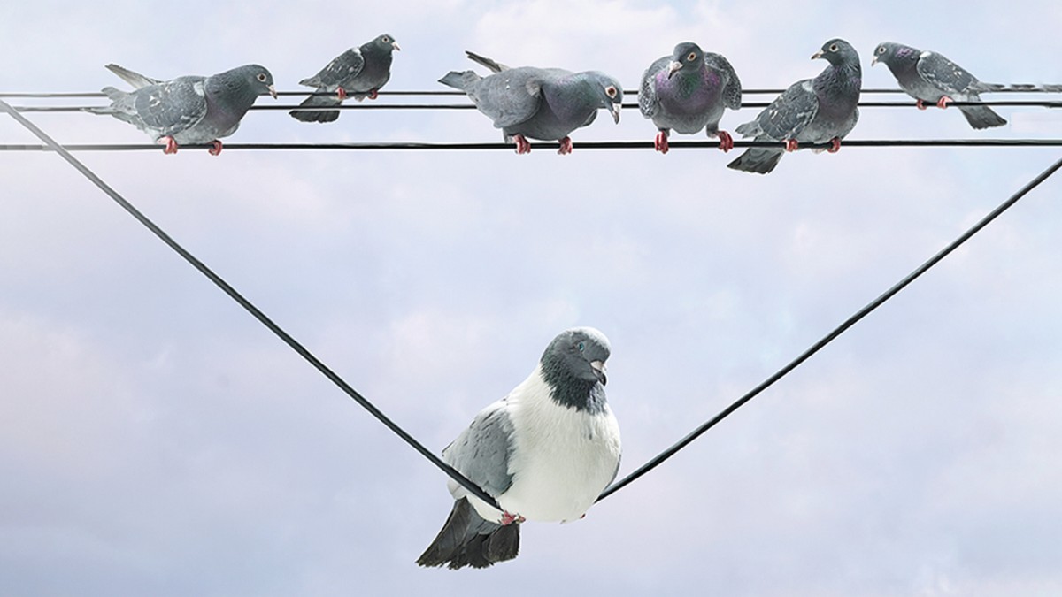 別讓演算法決定你的人生