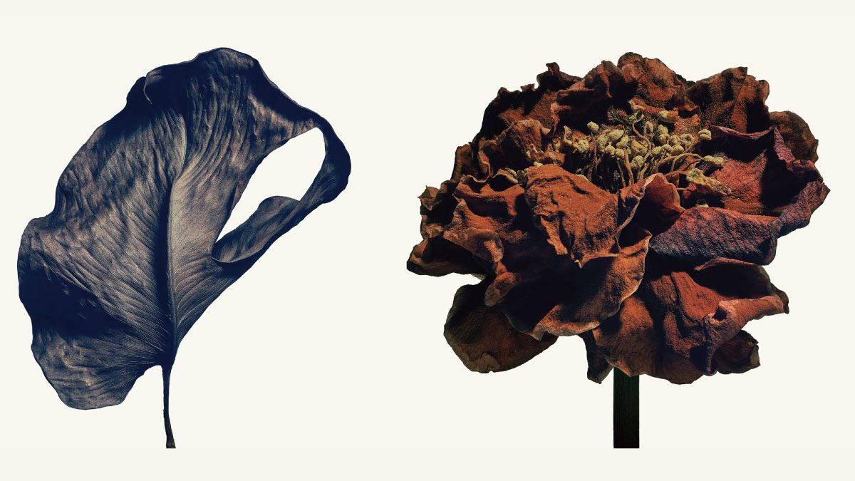 停止盲從指標！盡信永續報告不如無報告