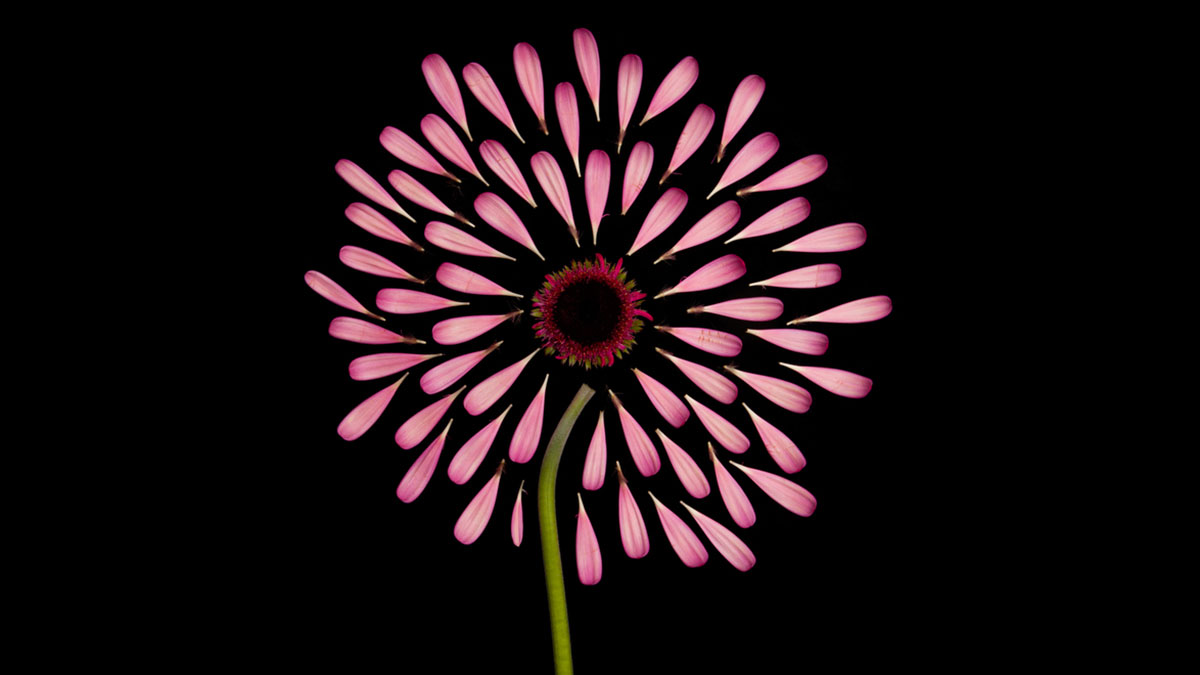 企業不只要轉型，還要能夠「再生」