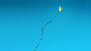 「管理」你的上司