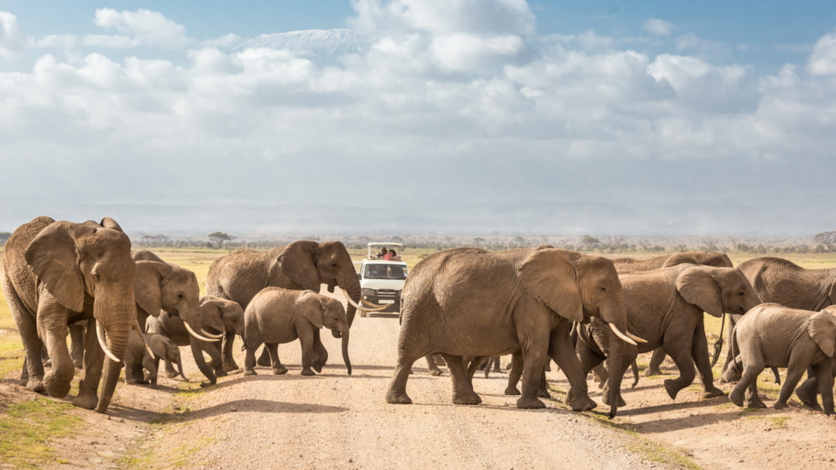 從利基出發，切入平台競爭生態