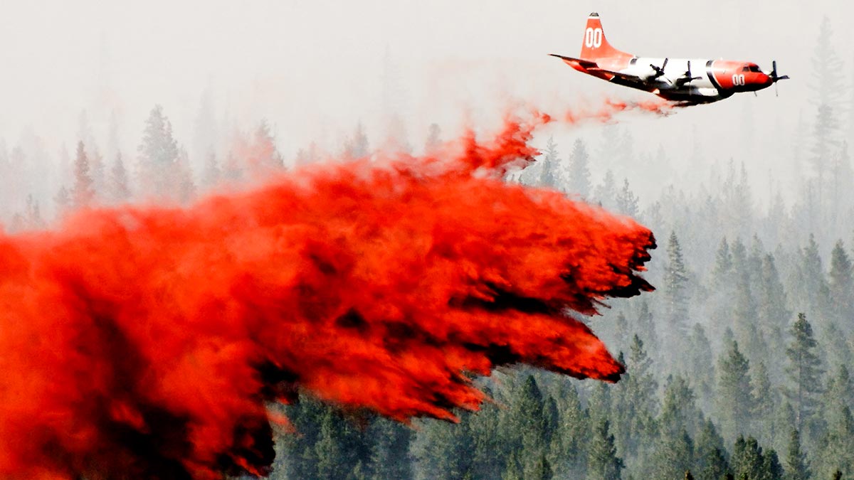 衝突時，如何讓我們的大腦冷靜