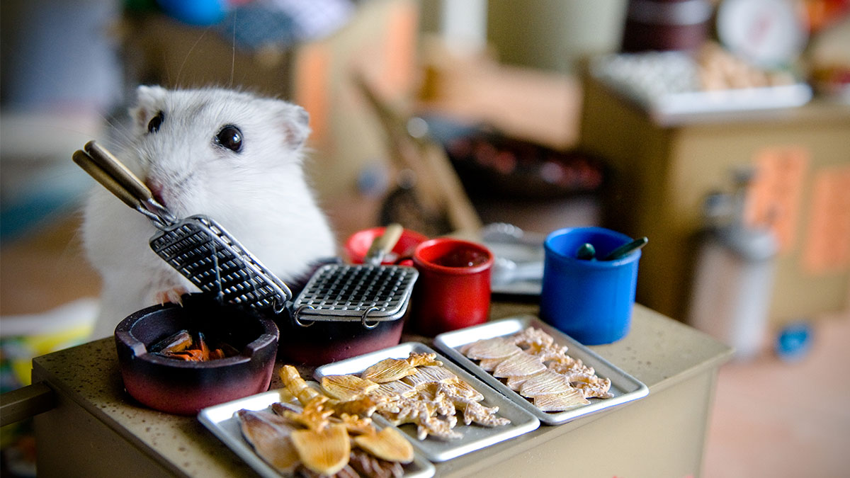 每個人都有冒牌貨症候群──你該怎麼克服？